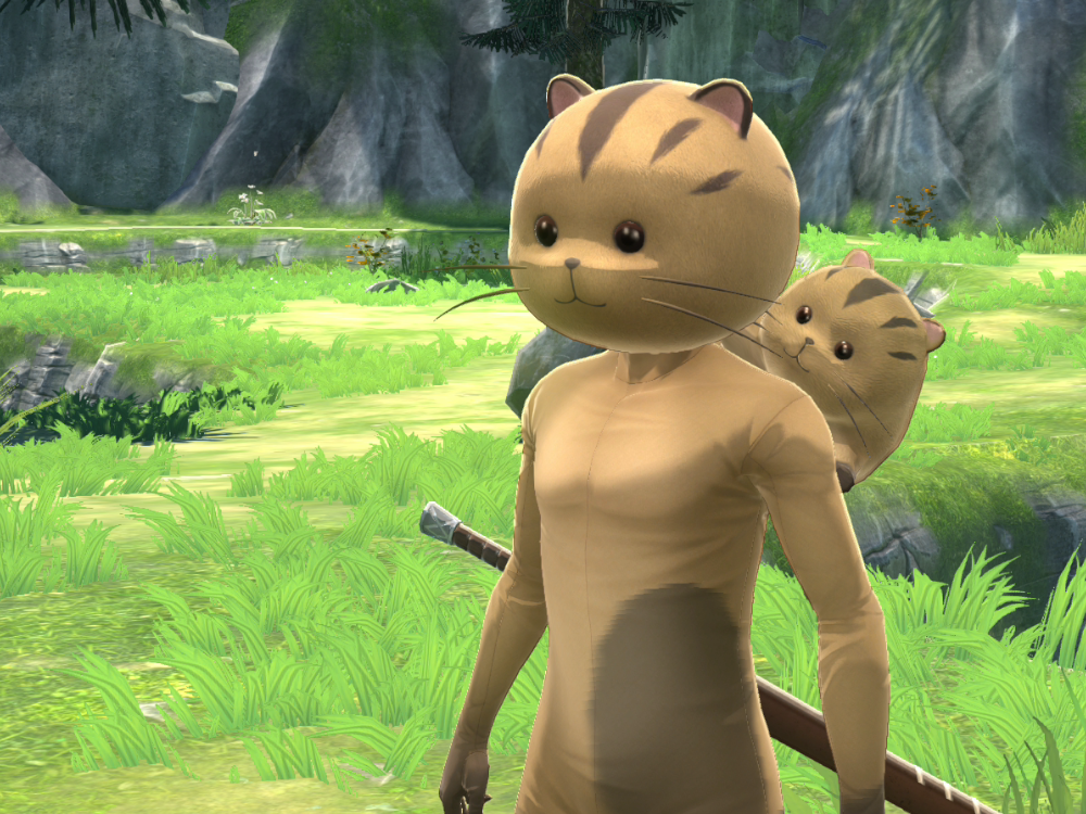 Pikkardology 101 - Pikkards in Ys X: Nordics and Beyond